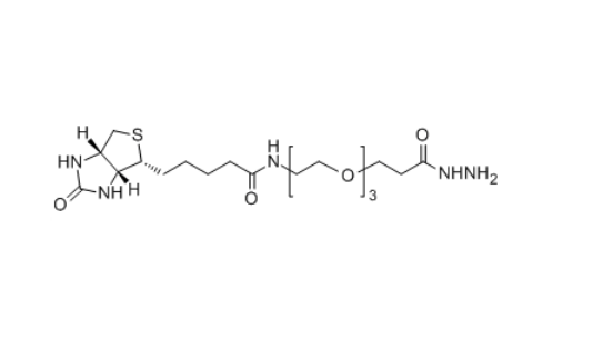 Biotin-PEG3-HZ 1381861-94-4 生物素-六聚乙二醇-酰肼