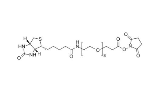 Biotin-PEG4-SPA 459426-22-3 Biotin-PEG4-NHS