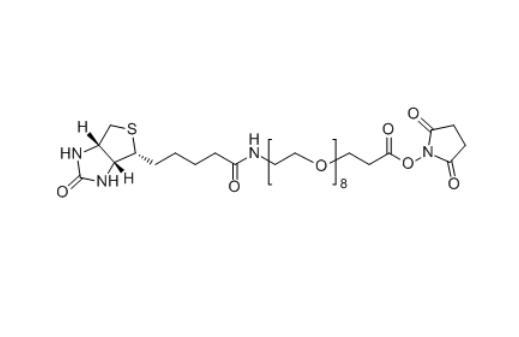 Biotin-PEG3-SPA 1253286-56-4 Biotin-PEG3-NHS