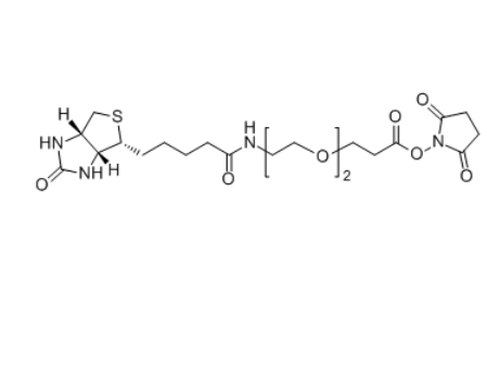 Biotin-PEG2-NHS 596820-83-6 Biotin-PEG2-SPA