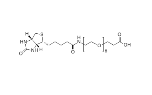 Biotin-PEG8-COOH 生物素-聚乙二醇-羧基