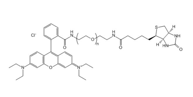 RB-PEG-Biotin 罗丹明B-聚乙二醇-生物素