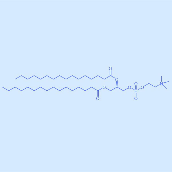二棕榈酸磷脂酰胆碱,DPPC,63-89-8