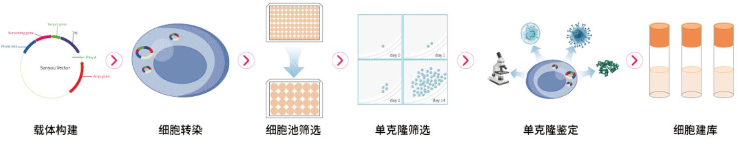 微信截图_20230131073837.png