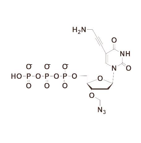 5-Propargylamino-3′-Azidomethyl-dUTP.jpg
