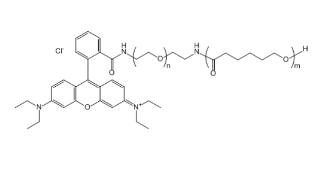 RB-PEG-PCL 罗丹明B-聚乙二醇-聚己内酯