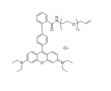 RB-PEG-Alkene 罗丹明B-聚乙二醇-烯