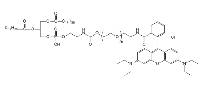 RB-PEG-DSPE 罗丹明B-聚乙二醇-二硬脂酰基磷脂酰乙醇胺