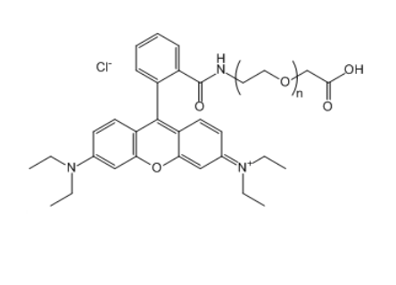 RB-PEG-COOH 罗丹明B-聚乙二醇-羧基