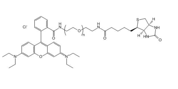 RB-PEG2000-Biotin 罗丹明B-聚乙二醇-生物素