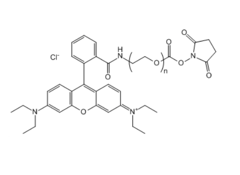 RB-PEG-SC 罗丹明B-聚乙二醇-琥珀酰亚胺碳酸酯