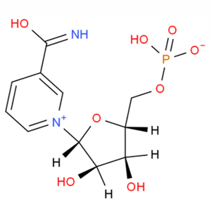 β-烟酰胺单核苷酸 beta-烟酰胺单核苷酸