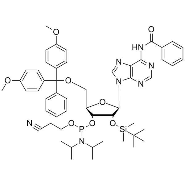 N6-Bz-5'-O-DMT-2'-O-TBDMS-A-CE