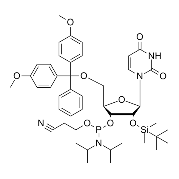 5'-O-DMT-2'-O-TBDMS-U-CE