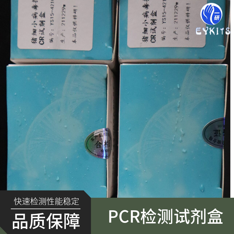 里氏立克次氏体PCR检测试剂盒