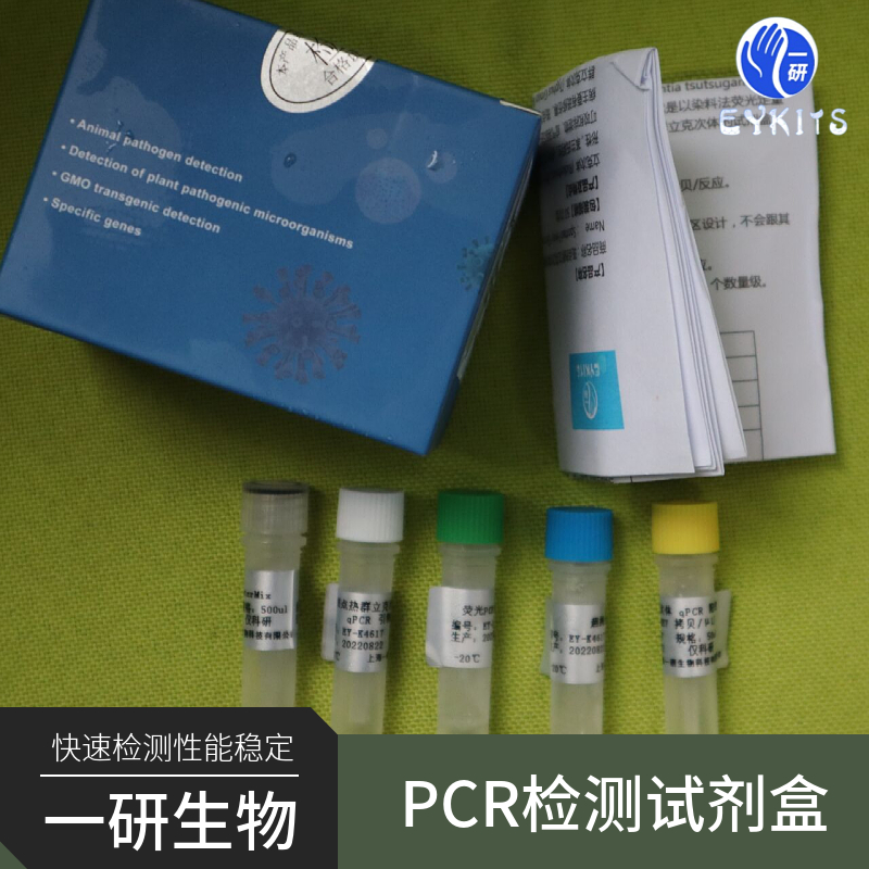 巴氏阿米巴原虫PCR检测试剂盒