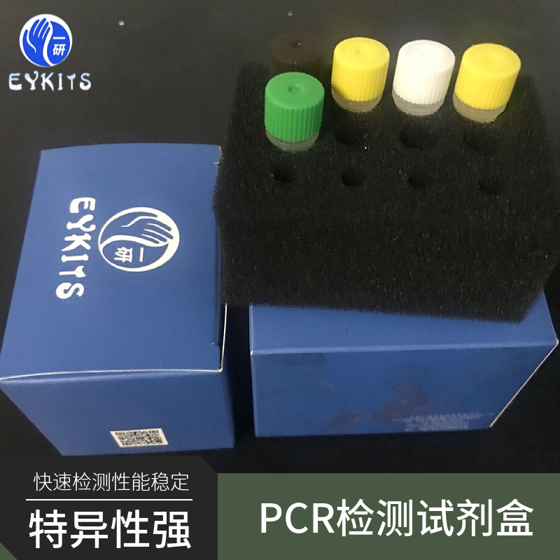 牛呼吸道合胞体病毒PCR检测试剂盒