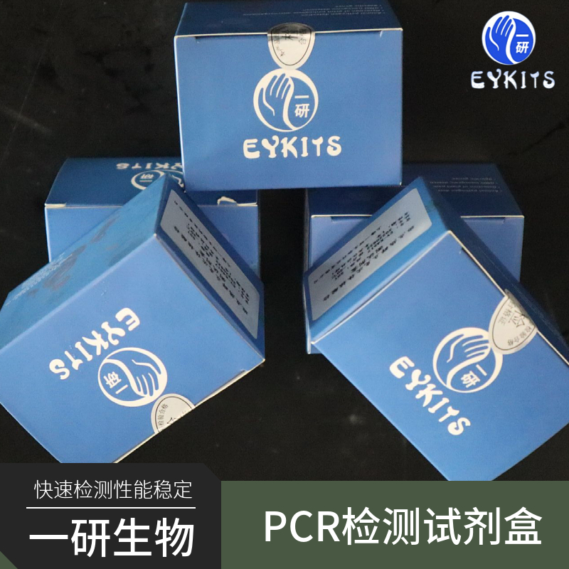 大拟片形吸虫PCR检测试剂盒
