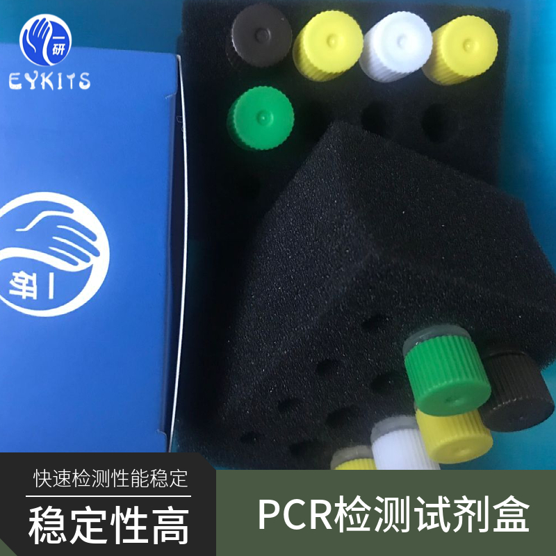 人类嗜淋巴细胞病毒型前病毒PCR检测试剂盒