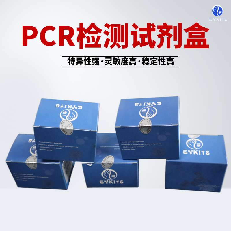 口腔支原体PCR检测试剂盒