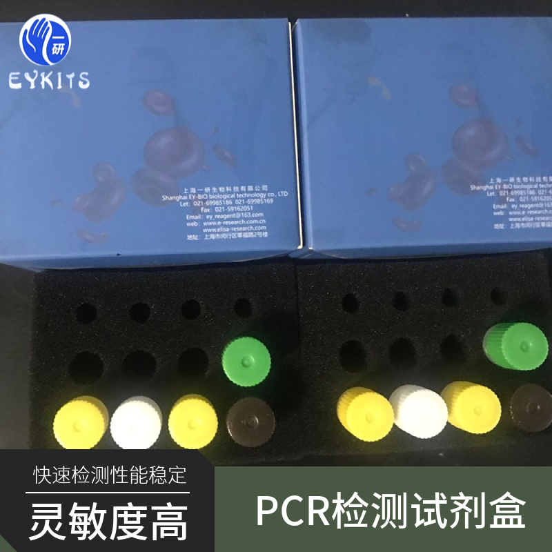 传染性肌肉坏死病病毒PCR检测试剂盒