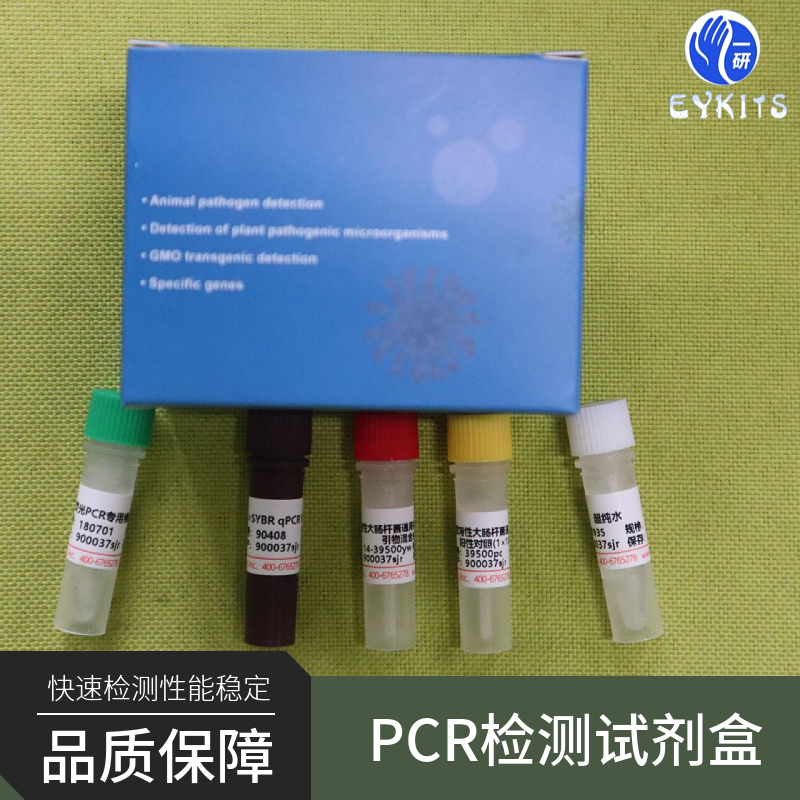 双埃柯病毒PCR检测试剂盒