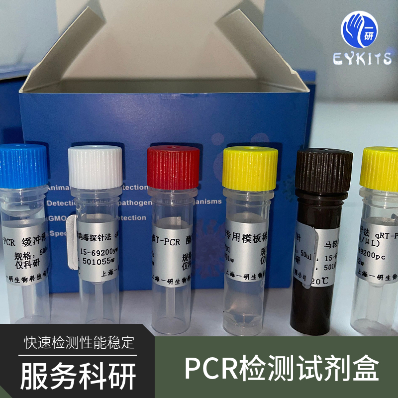 丝状网尾线虫PCR检测试剂盒