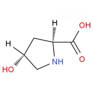 反式-4-羟基-L-脯氨酸 51-35-4 L-羟基脯氨酸