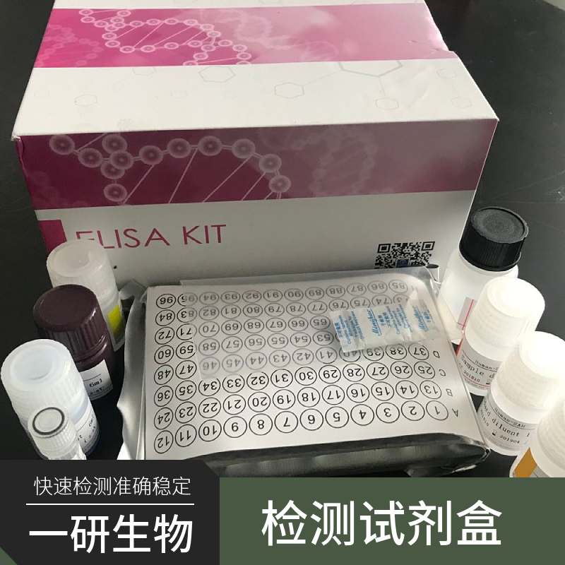 小鼠淀粉样蛋白1-42ELISA试剂盒