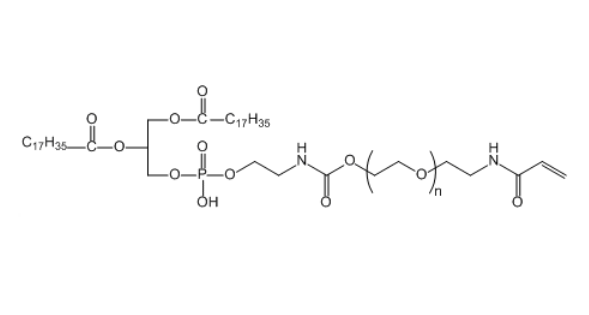 DSPE-PEG-ACA 二硬脂酰基磷脂酰乙醇胺-聚乙二醇-丙烯酰胺
