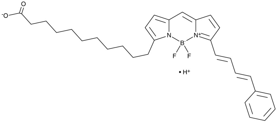 C11 BODIPC11 BODIPY 581/591Y 581/591