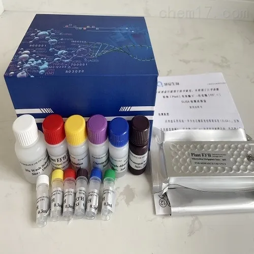 人白介素12（IL-12）Elisa试剂盒