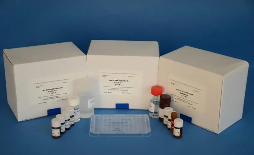 人可溶性CD163分子(sCD163)Elisa试剂盒