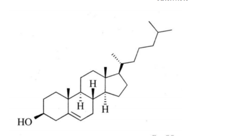 胆固醇（供注射用）药用辅料 中国药典2020版 有CDE备案