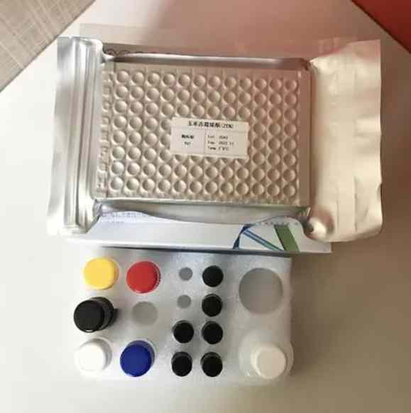 人胰岛素受体(INSR)Elisa试剂盒