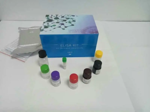 人硫氧化还原蛋白(Trx)Elisa试剂盒