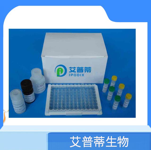 鸡白细胞介素1β（IL-1β）Elisa试剂盒