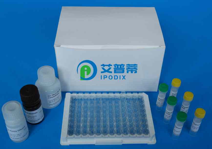 豚鼠白细胞介素1β（IL-1β）Elisa试剂盒
