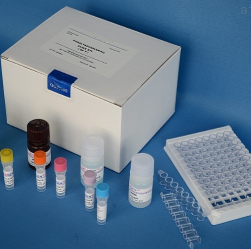 人组织蛋白酶B(CTSB)Elisa试剂盒
