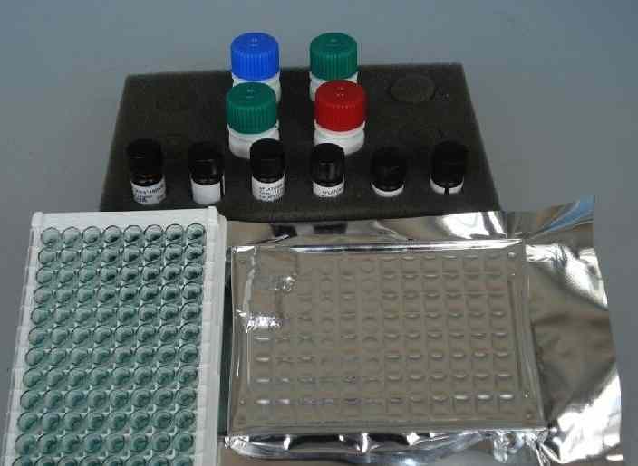 猪低氧诱导因子-1α（HIF-1α）ELISA试剂盒