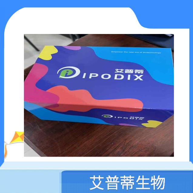 大鼠骨保护素(OPG)Elisa试剂盒