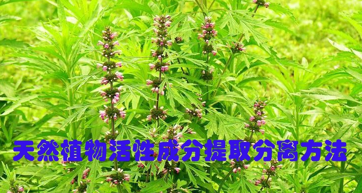 天然药植提取技术服务