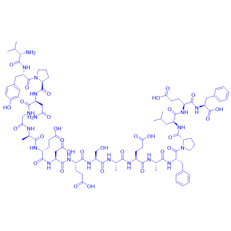 肾上腺皮质激素(22-39)/ACTH 22-39/37548-29-1