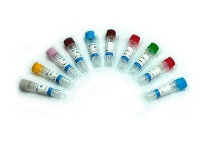 人 OSTF1 蛋白 生产供应商  艾普蒂生物