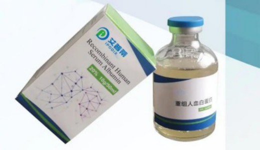 人 PINX1蛋白 生产供应商 艾普蒂生物