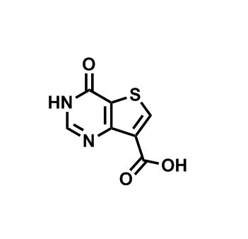 4-氧代-3,4-二氢噻吩并[3,2-d]嘧啶-7-羧酸