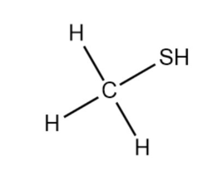甲硫醇74-93-1