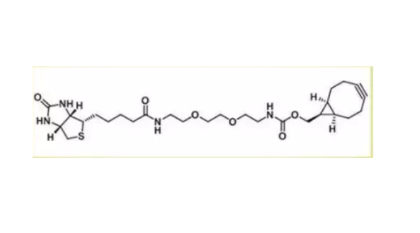 endo-BCN二聚乙二醇-生物素  endo-BCN-PEG2-Biotin