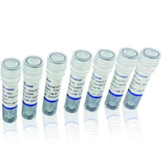 重组小鼠GSTM1 蛋白 生产供应商艾普蒂生物