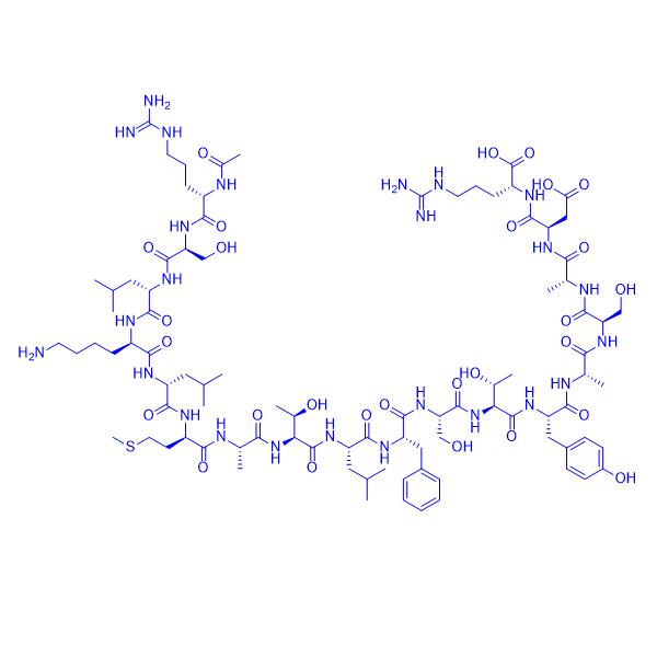 Myosin H Chain Fragment,mouse.png